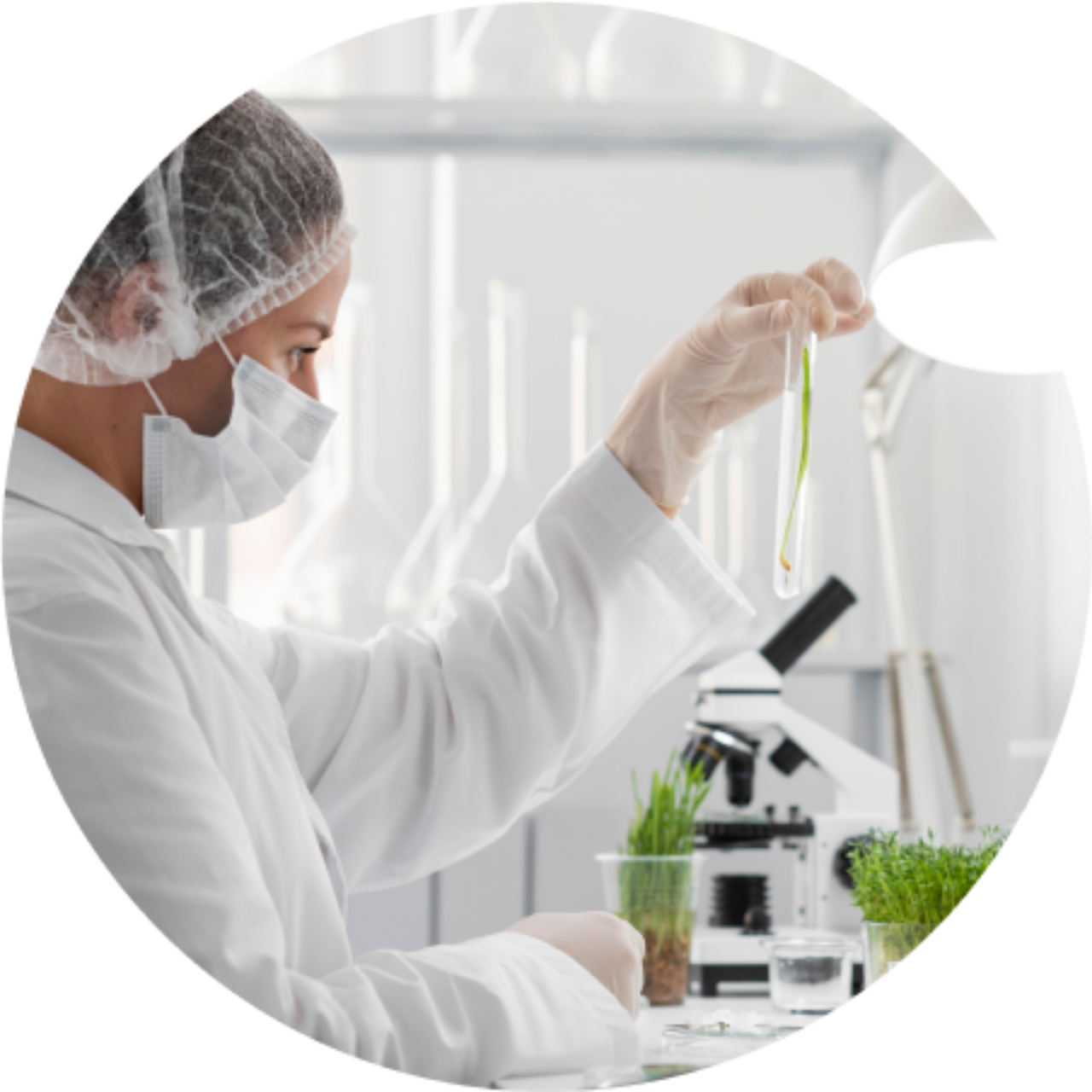 formulation-cosmetic-manufacturer