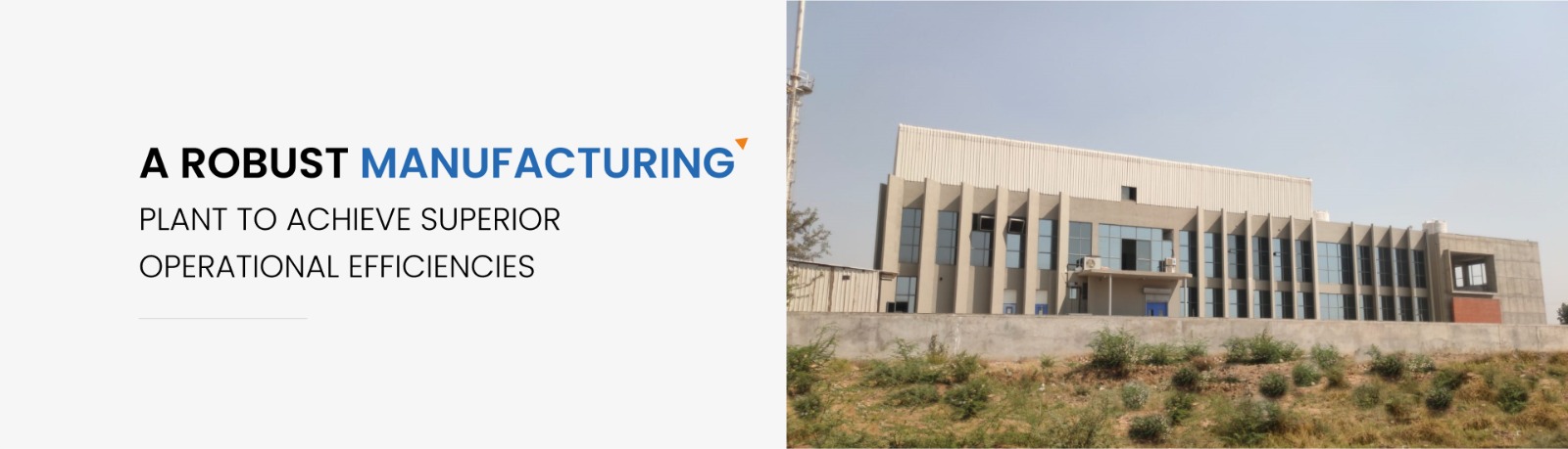 WhatsApp Image 2025-06-03 at 11.23.19 AM