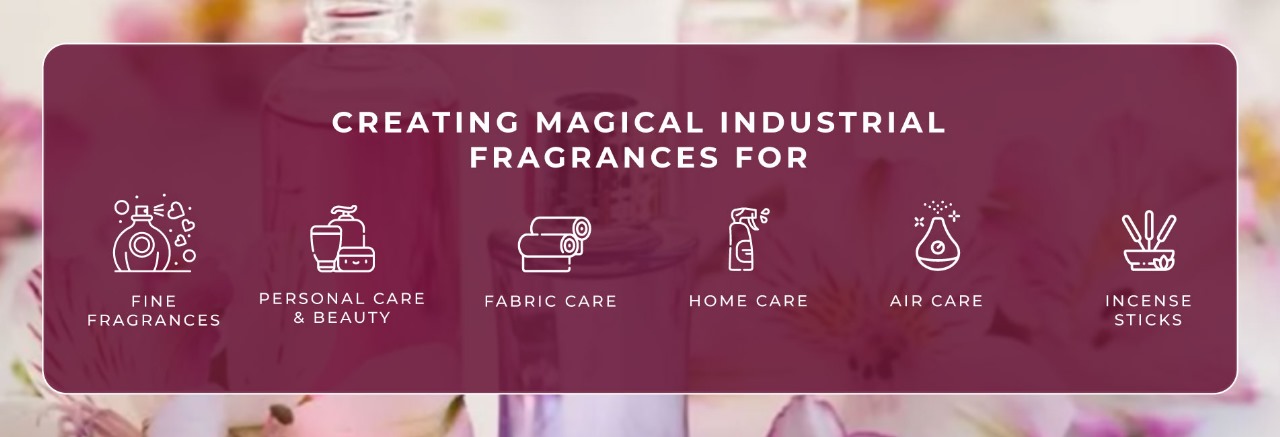 WhatsApp Image 2025-08-22 at 15.55.31_b8b2f4c0