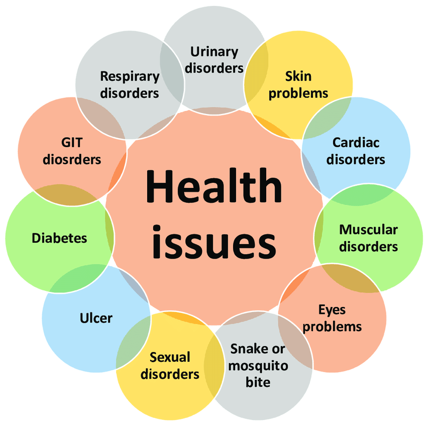 top 10 health issue 2024